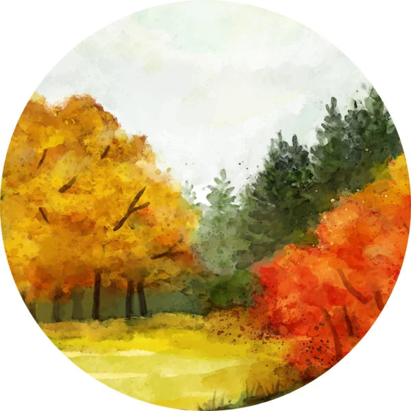 Profumi per l'Autunno