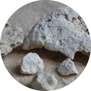 L'ingrediente segreto delle fragranze più intense: Ambra Grigia