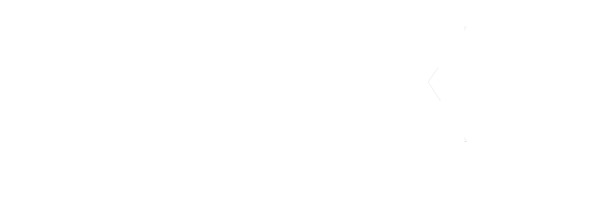 Logo Bianco Alex